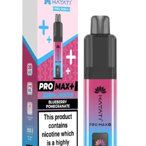 HAYATI PRO MAX 6K KIT BLUEBERRY POMEGRANATE