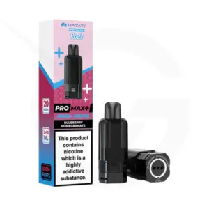 HAYATI PRO MAX 6K PODS BLUEBERRY POMEGRANATE